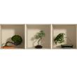 Mursticker effect 3D misvormd bonsai - ambiance-sticker.com